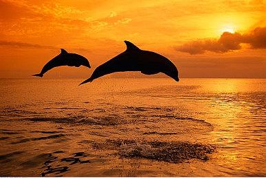 美式漫画FPS《堕落王牌》发布正式游戏预告